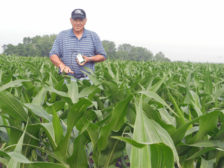 Gary Zoubek in waist-high corn