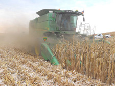 Black dust following combine in dryland corn
