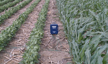 Soil moisture sensor in on-farm trial