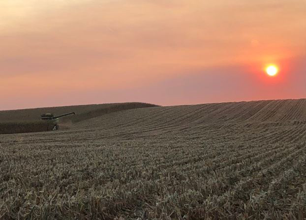 Harvesting corn at sunset (Photo by Ryan Loseke)