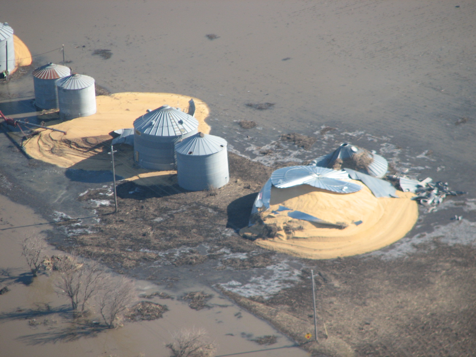 Bins bursting open with corn due to saturation with flood water.