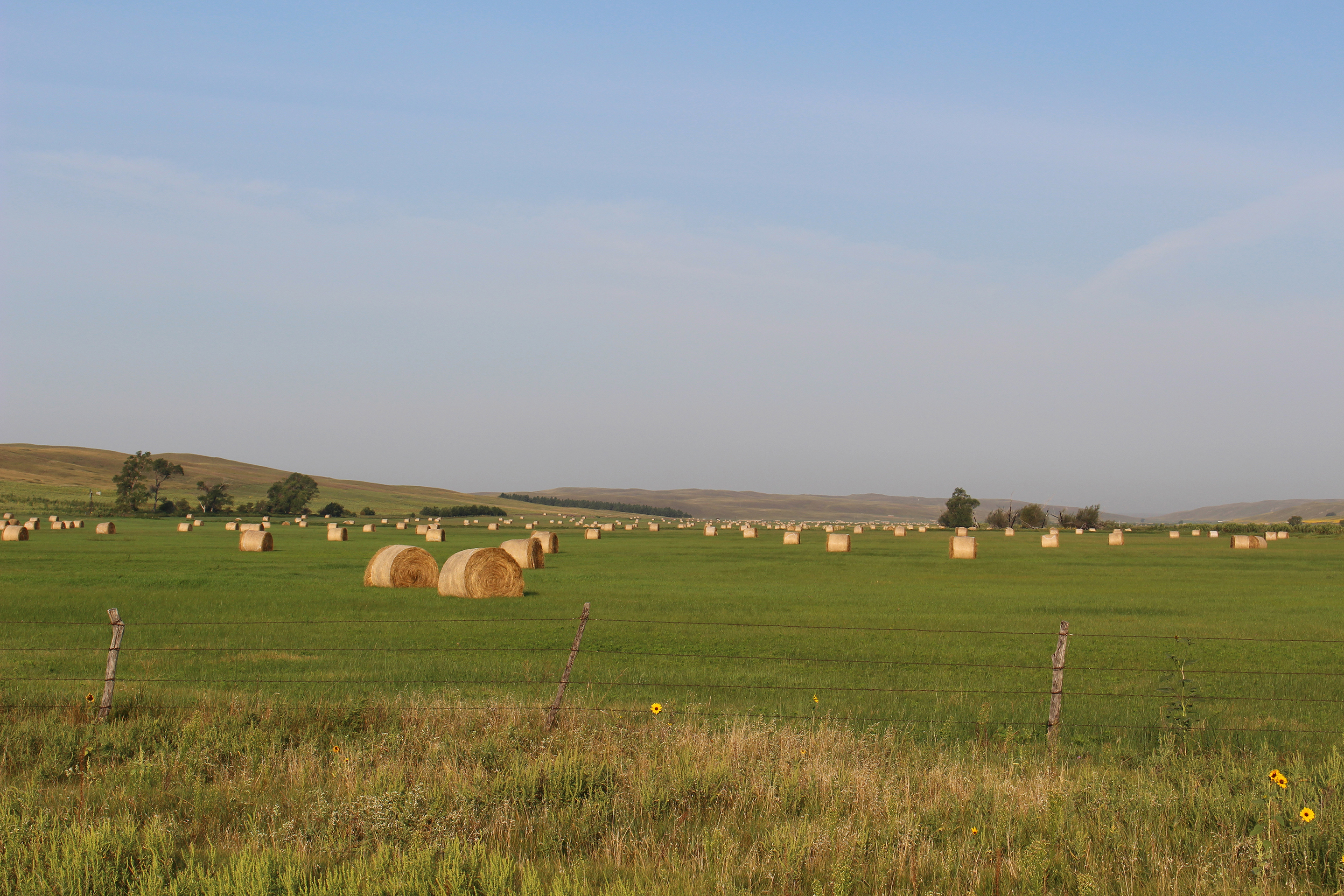 Making hay and feeding hay to our cattle - Clover Meadows Beef