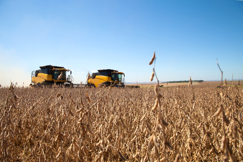 Crop Progress: Soybean Harvest at 91%, CropWatch