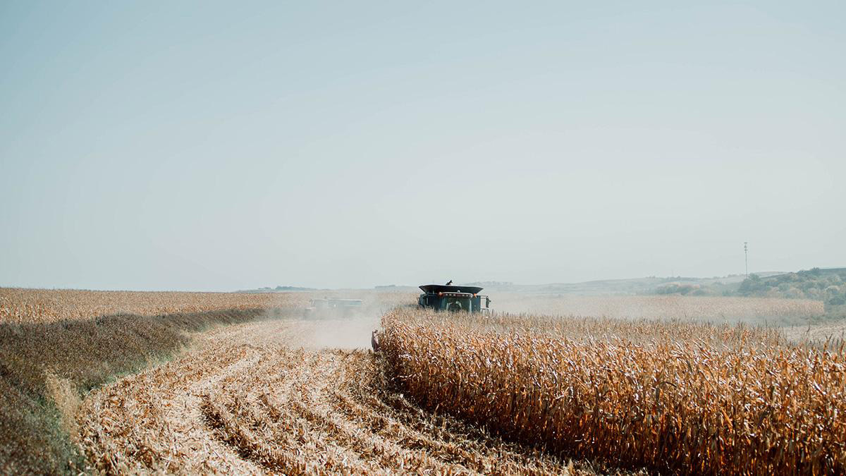 Nebraska ag land values grew 14% last year, UNL survey finds