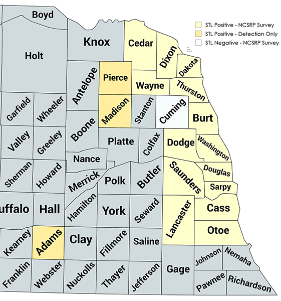 Nebraska map highlighting 17 counties with soybean tentiform leafminer detections in 2025—clusters in northeast and east-central counties plus Adams; legend shows positive/negative survey.