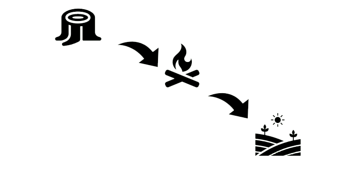 Tree stump, fire, and flourishing field connected by arrows.