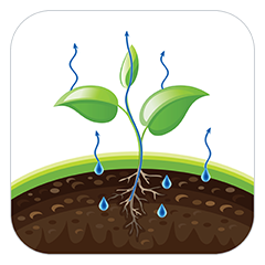 Icon showing a young green plant with blue arrows and water droplets illustrating evapotranspiration and growth, representing the ET/GDD Tool.