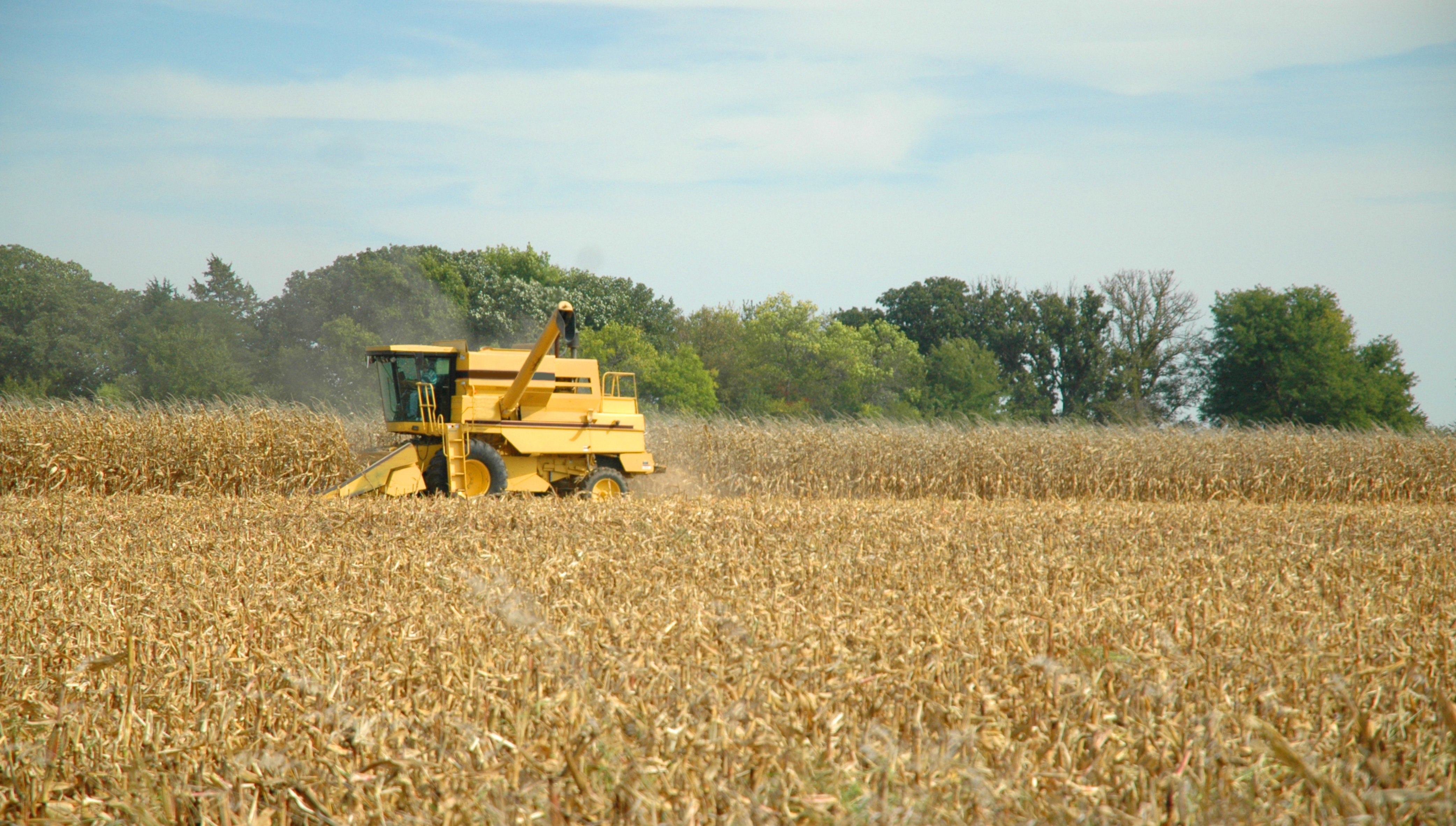 combine harvesting corn field in nebraska