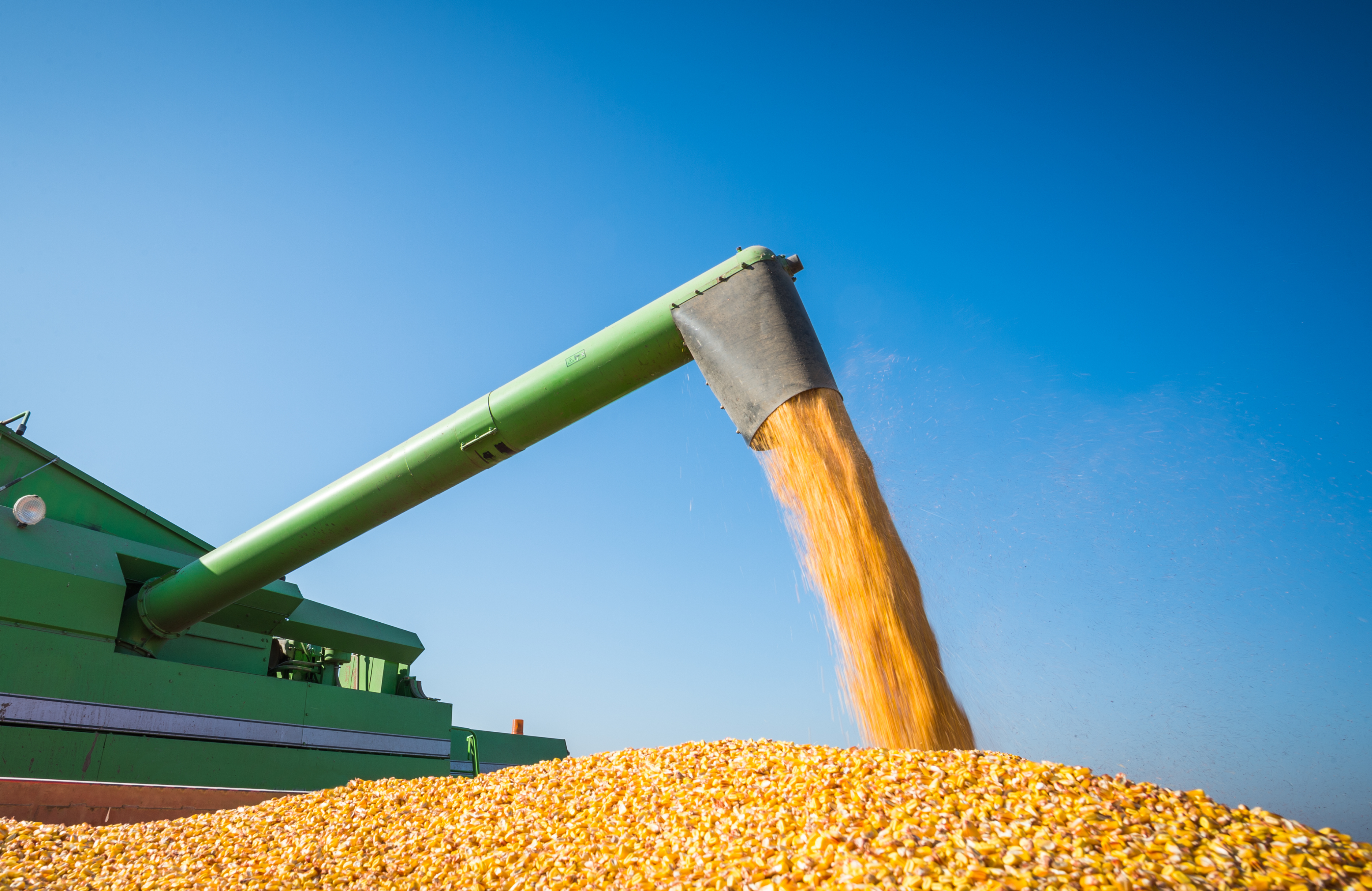 combine pouring corn into grain truck