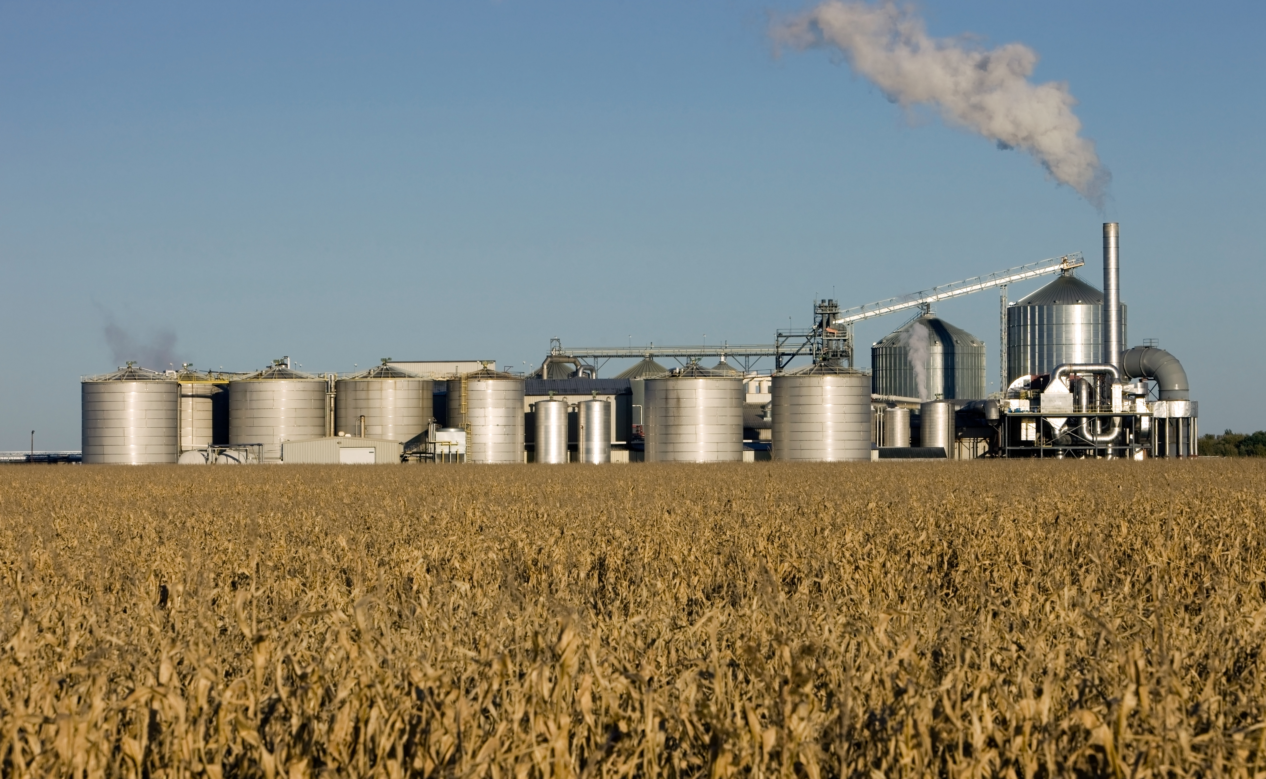 ethanol plant near corn field