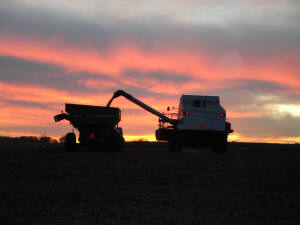 harvest weight sunset