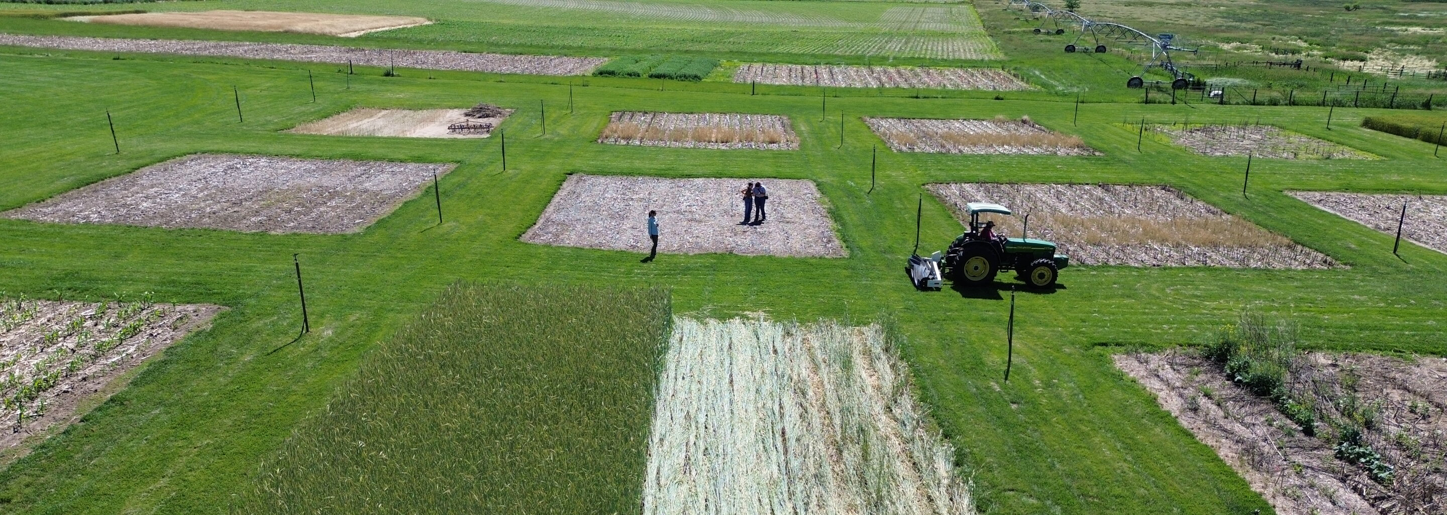 organic field day in aerial photo