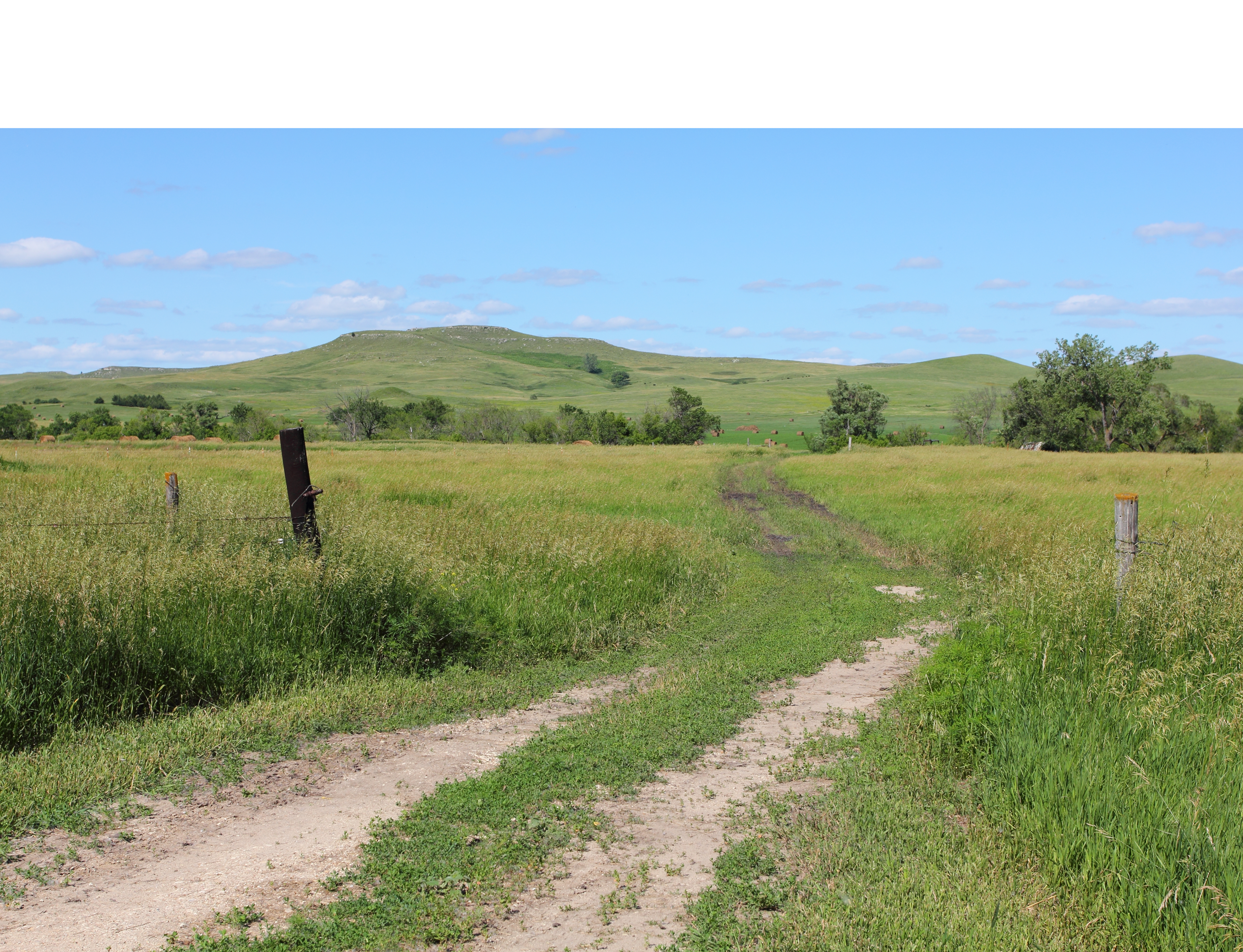 nebraska pasture