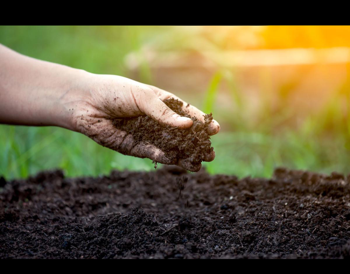 soil health hero