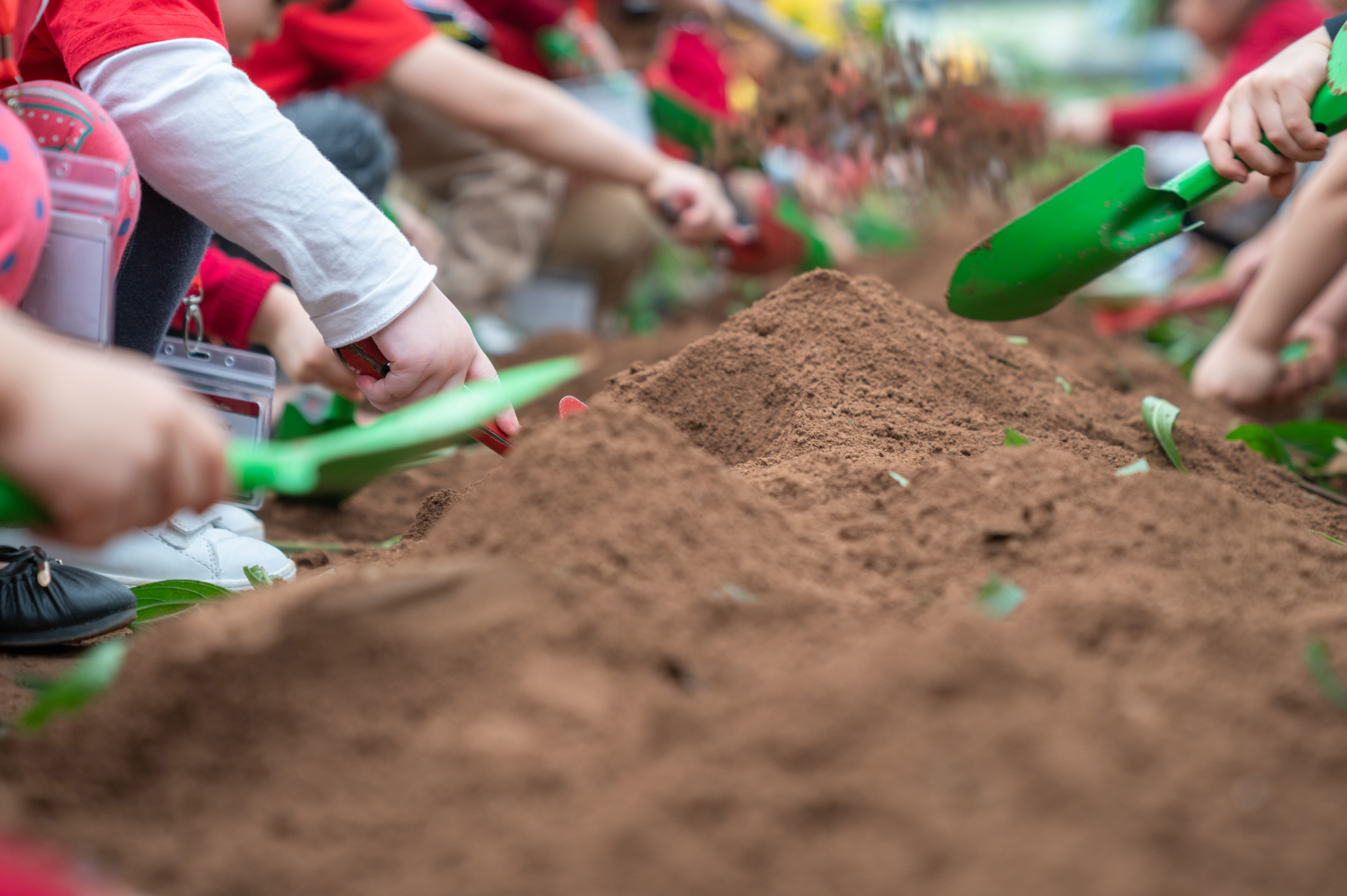 children planting soil