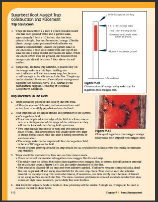 sugarbeet root maggot trap diagram