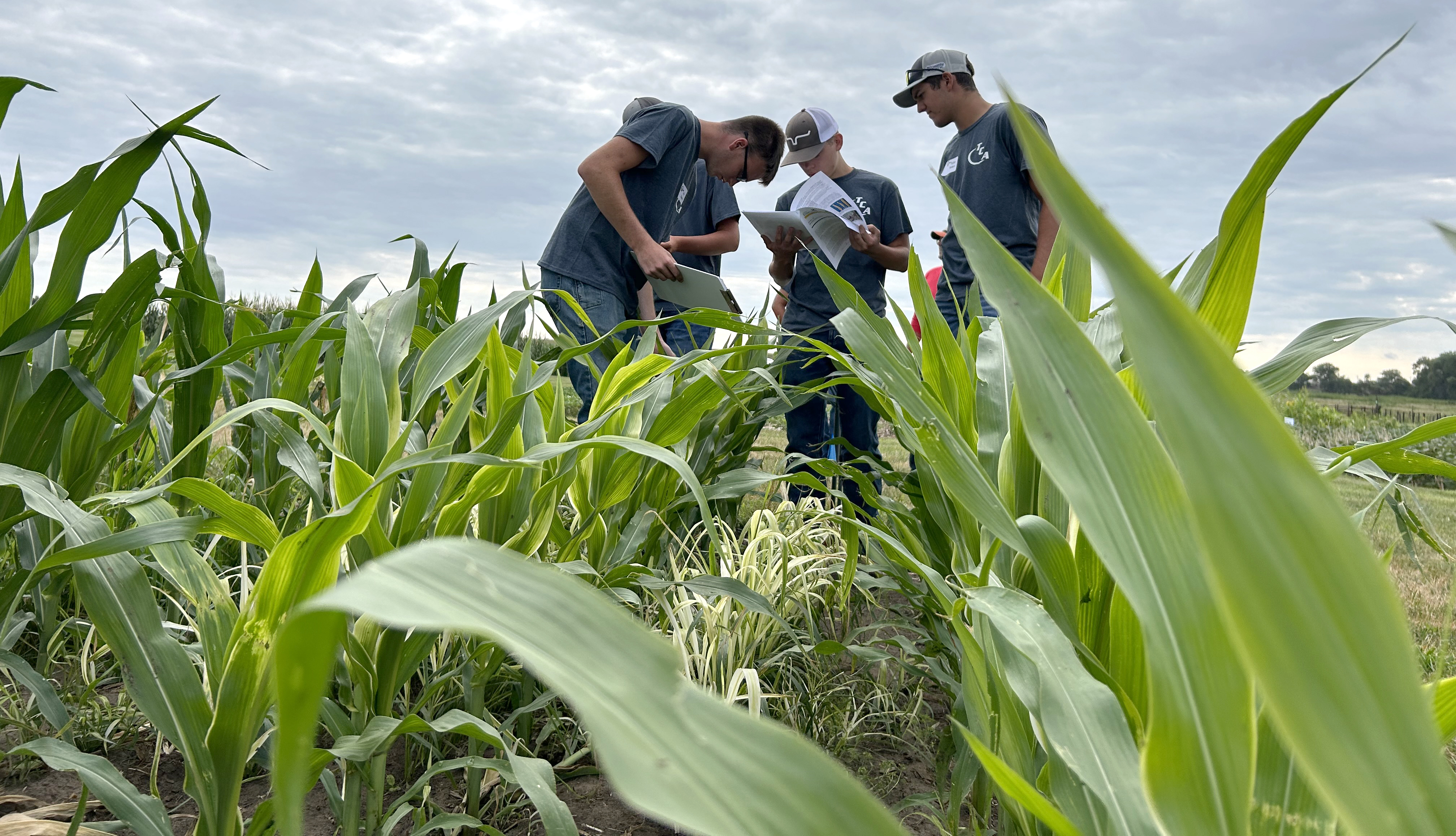 youth crop scouting hero