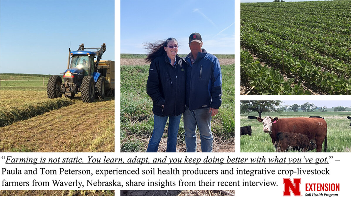 A collage of four images showing soil health farmers Paula and Tom Peterson from Waverly, Nebraska — the couple standing together in a cover crop field, a tractor cutting hay, a green soybean field, and cattle grazing on pasture.