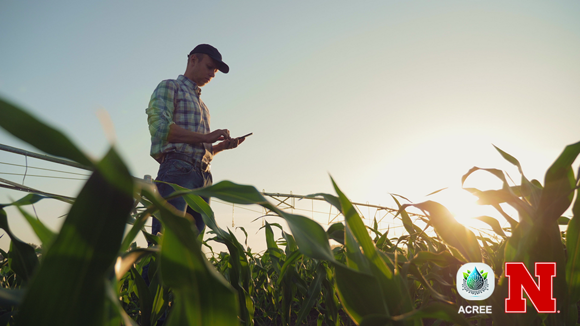 Farmer standing in a corn field using a smartphone near a center pivot irrigation system at sunset with ACREE and Nebraska Extension logos.
