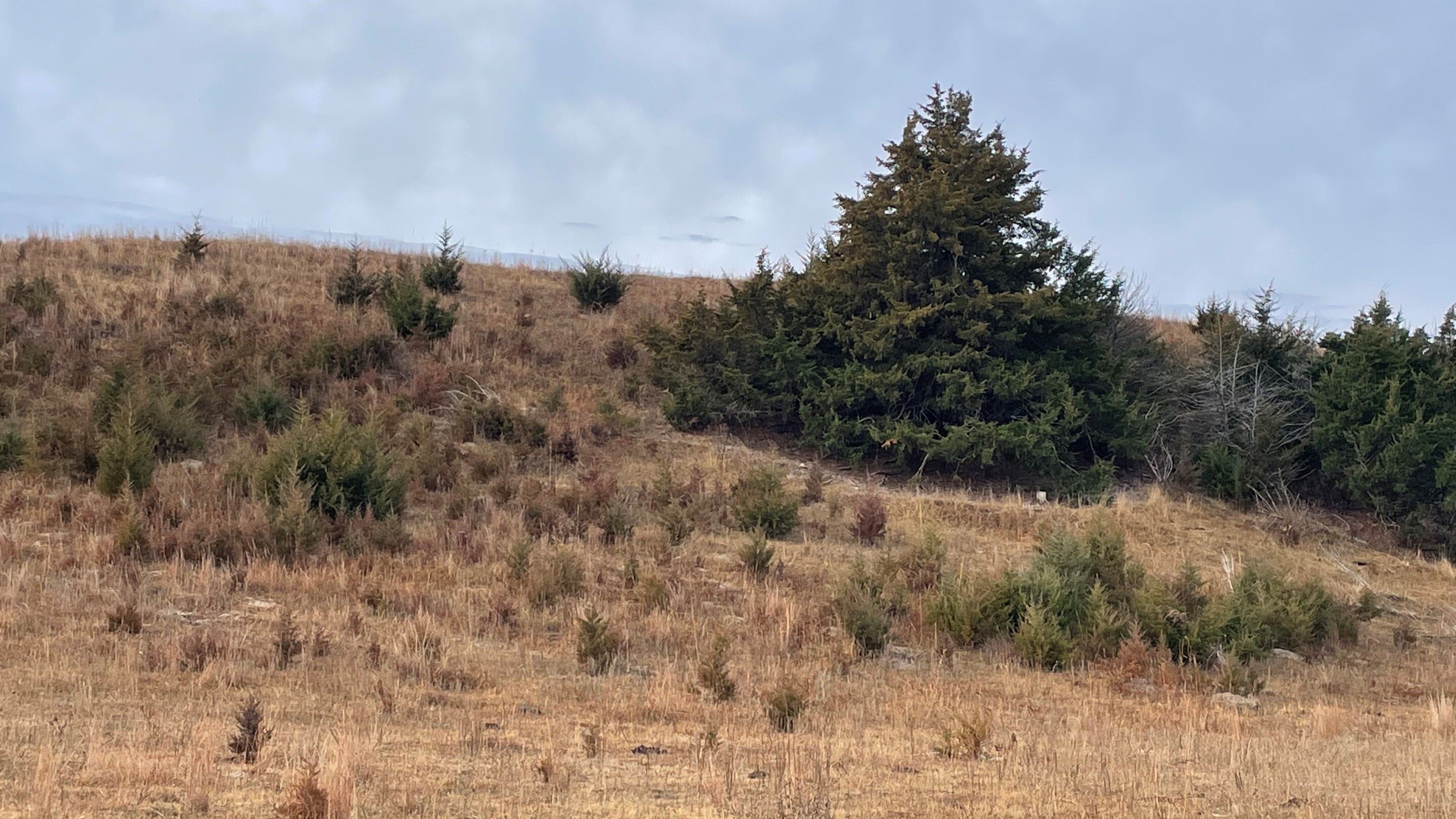 Producers Can Apply for New USDA Disaster Assistance Starting Nov. 24