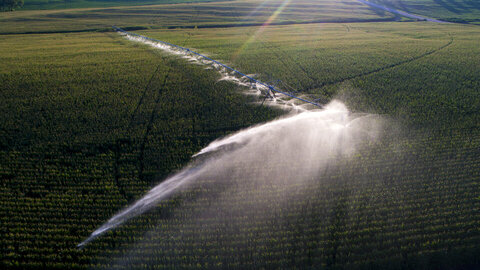 aerial view of center pivot irrigation in a field of corn