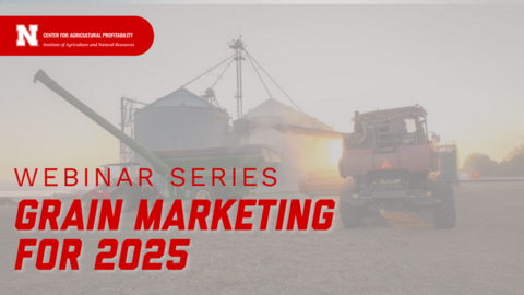 workshop banner