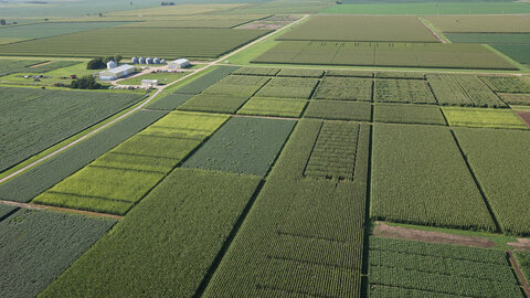 aerial photo of crop fields