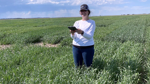 woman standing in wheat field