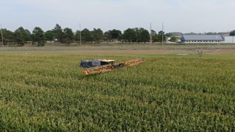 highboy in corn field