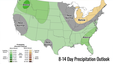 Map of the United States showing the 8–14 day precipitation outlook issued July 25, 2025, for the period August 2–8. Most of the country is forecast to have near normal or above normal precipitation, with above normal chances in the Southeast and Northwest. Below normal precipitation is likely in parts of the Northeast, Upper Midwest, and central Alaska. A key in the lower-right corner shows probability categories from 33% to over 90%.