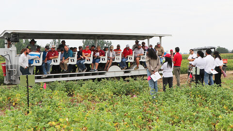 A group of people ride on a covered field tour trailer through a research plot of green bean plants, listening to a presenter at the front. Additional attendees stand nearby holding handouts, with crop rows and other research plots in the background.