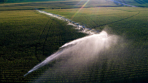 Center pivot irrigation applying water to green field