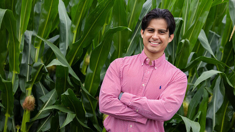 Vladimir Torres-Rodriguez in a red checkered shirt stands smiling with arms crossed in front of tall green corn plants in a field.