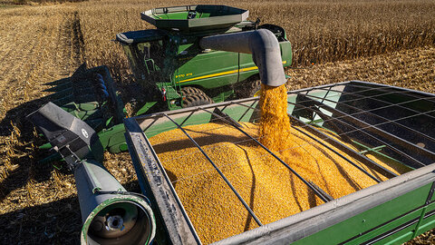 John Deere green and yellow combine fills grain truck with corn in field