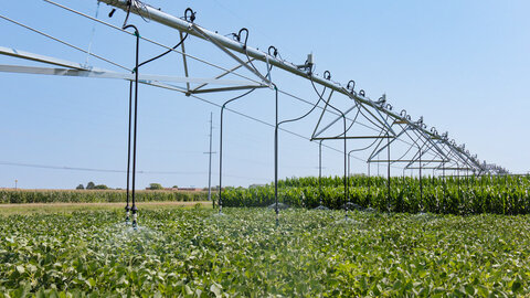 Center pivot waters soybean field on clear, sunny day