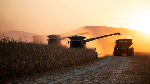 Combines harvest corn at sunset with grain carts alongside, dust rising as crops are harvested across a field.