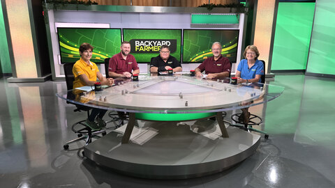Two women and three men sit at the desk on the "Backyard Farmer" set.