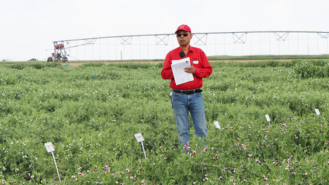 Dipak Santra stands in a pea research field holding notes, with labeled plots and an irrigation pivot visible in the background.