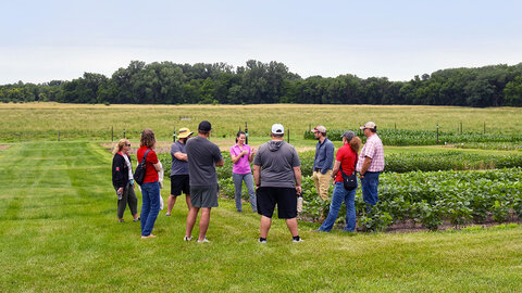 Group of people standing in a field near crops, surrounded by greenery and an open landscape.