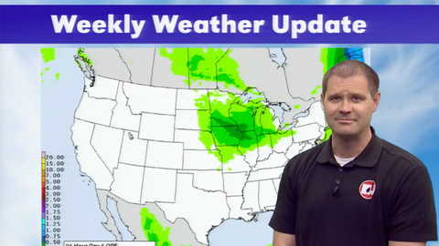 Weekly weather forecast map with green-highlighted precipitation areas.