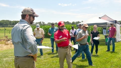 Group of people standing outdoors near tents and crops on a sunny day, engaged in conversation.