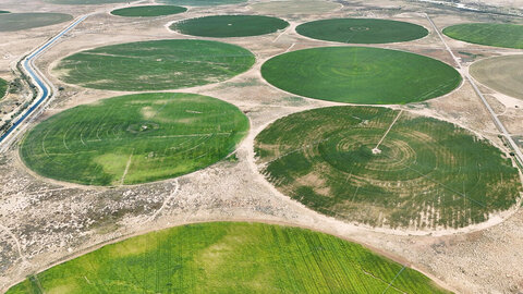 Circular green crop fields surrounded by dry, sandy land, viewed from above.