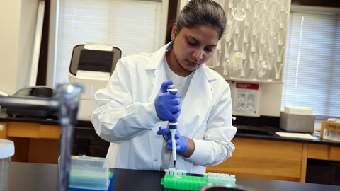 Esha Kaler performs RNA extraction protocol in a lab in Entomology Hall on East Campus.