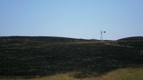 A large expanse of scorched pasture with a lone windmill in the distance