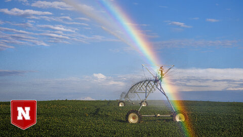 A rainbow forms over an irrigation pivot in a grain field, with a blue sky in the background.