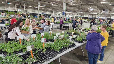 The Spring Affair plant sale is the largest sale in the Great Plains.