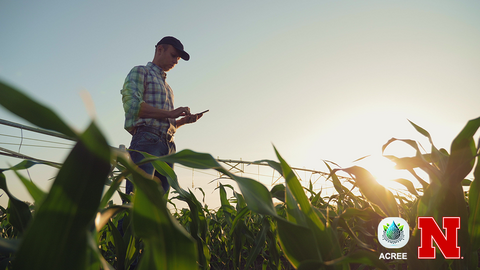 Farmer standing in a corn field using a smartphone near a center pivot irrigation system at sunset with ACREE and Nebraska Extension logos.