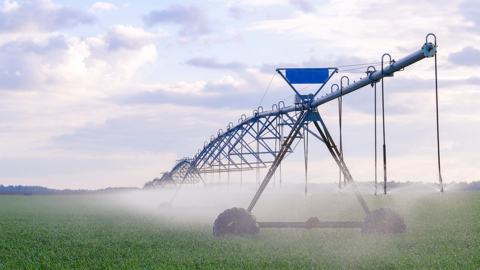 center pivot watering field