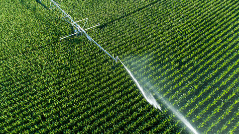 Aerial view of a sprinkler irrigating a lush green crop field.