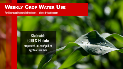 crop water use graphic
